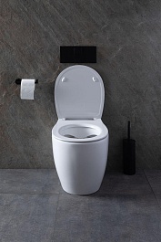 Allen Brau Унитаз приставной Fantasy 4.11007.20 белый глянец – фотография-35